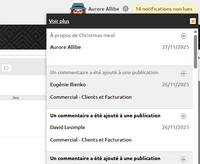 Capture d_écran 2025-11-27 144714.png